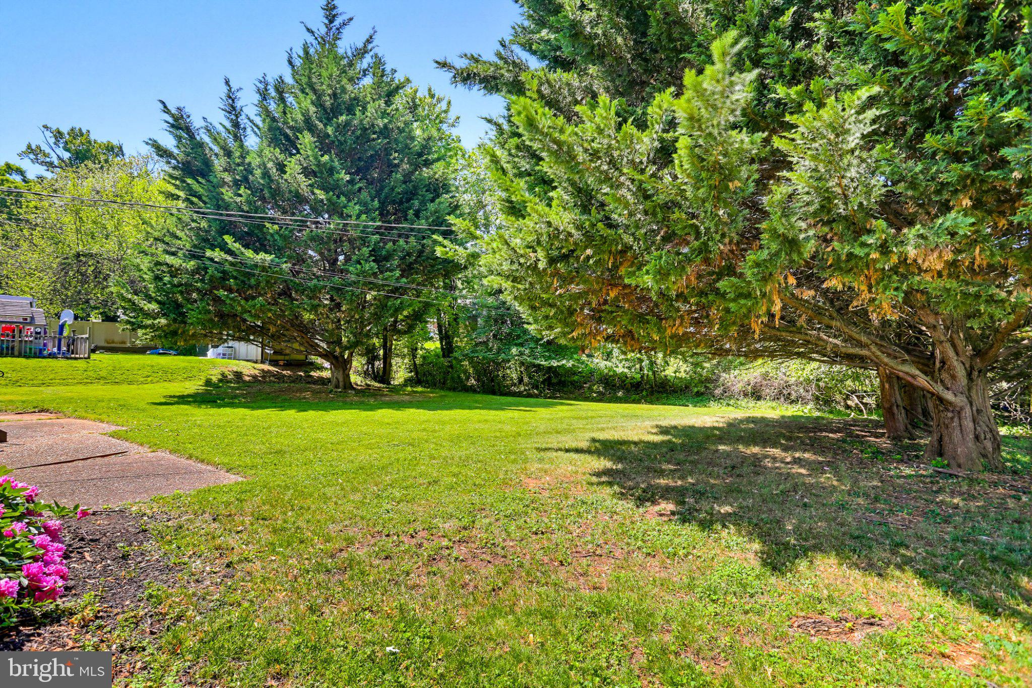 8145 Scotts Level Road Pikesville, MD 21208 - Photo 43 of 45 Lush green oasis with shaded trees.