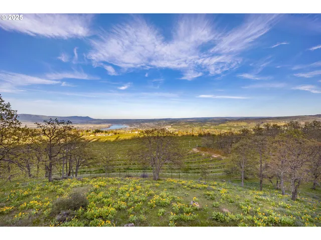 a view of an ocean view