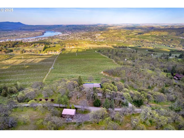 a view of an ocean and beach