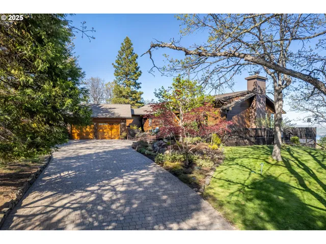a view of a yard with plants