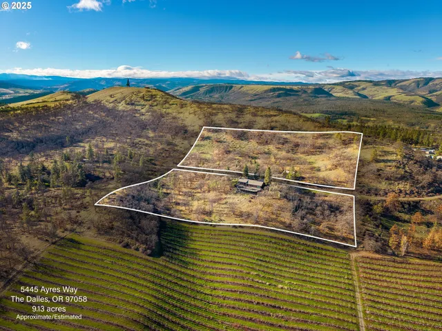 an aerial view of a house with swimming pool and large trees