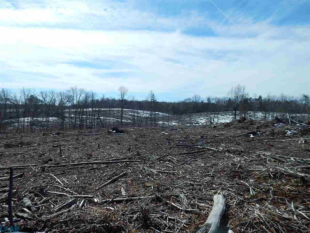 0 Cedar Lane Road Columbia, VA 23038 - Photo 5 of 9 a view of a dry yard