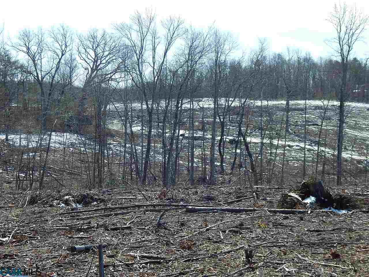 0 Cedar Lane Road Columbia, VA 23038 - Photo 6 of 9 a view of a backyard with trees
