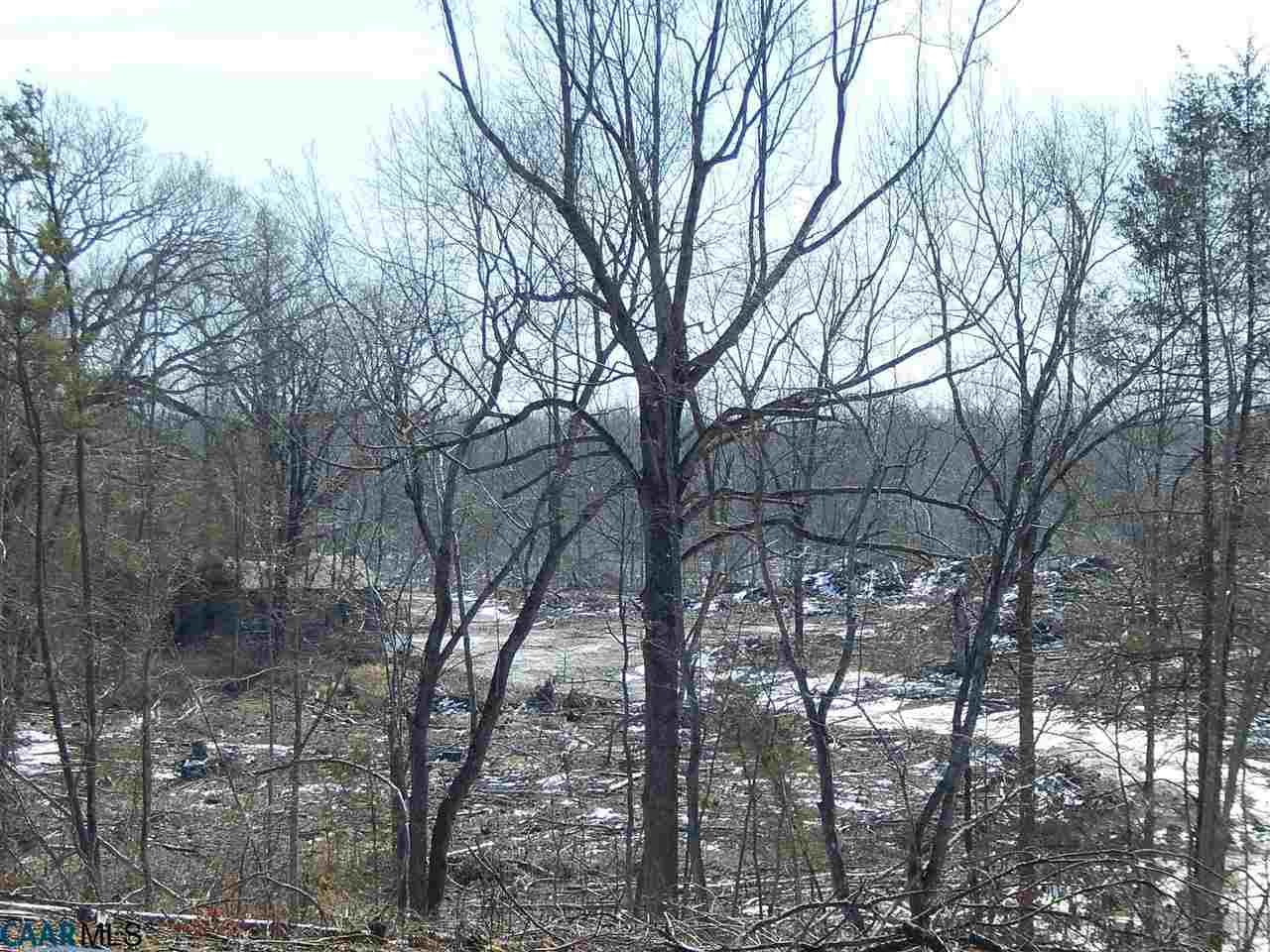 0 Cedar Lane Road Columbia, VA 23038 - Photo 8 of 9