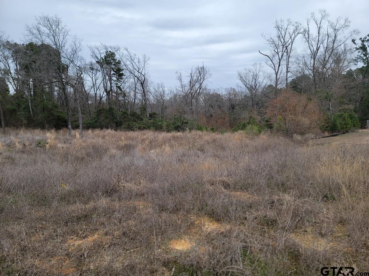 3515 Chapel View Tyler, TX 75707 - Photo 1 of 4