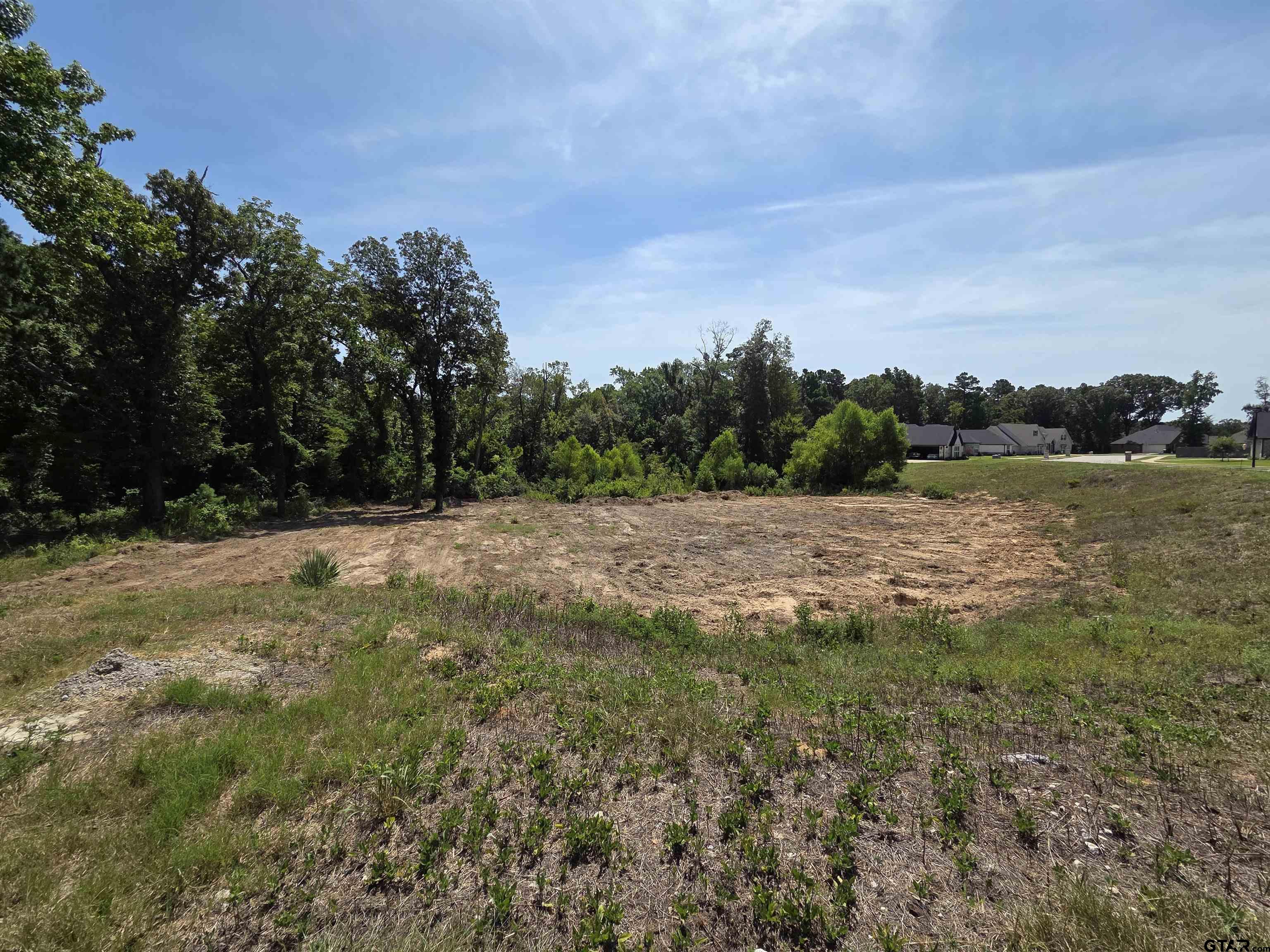 3515 Chapel View Tyler, TX 75707 - Photo 3 of 4