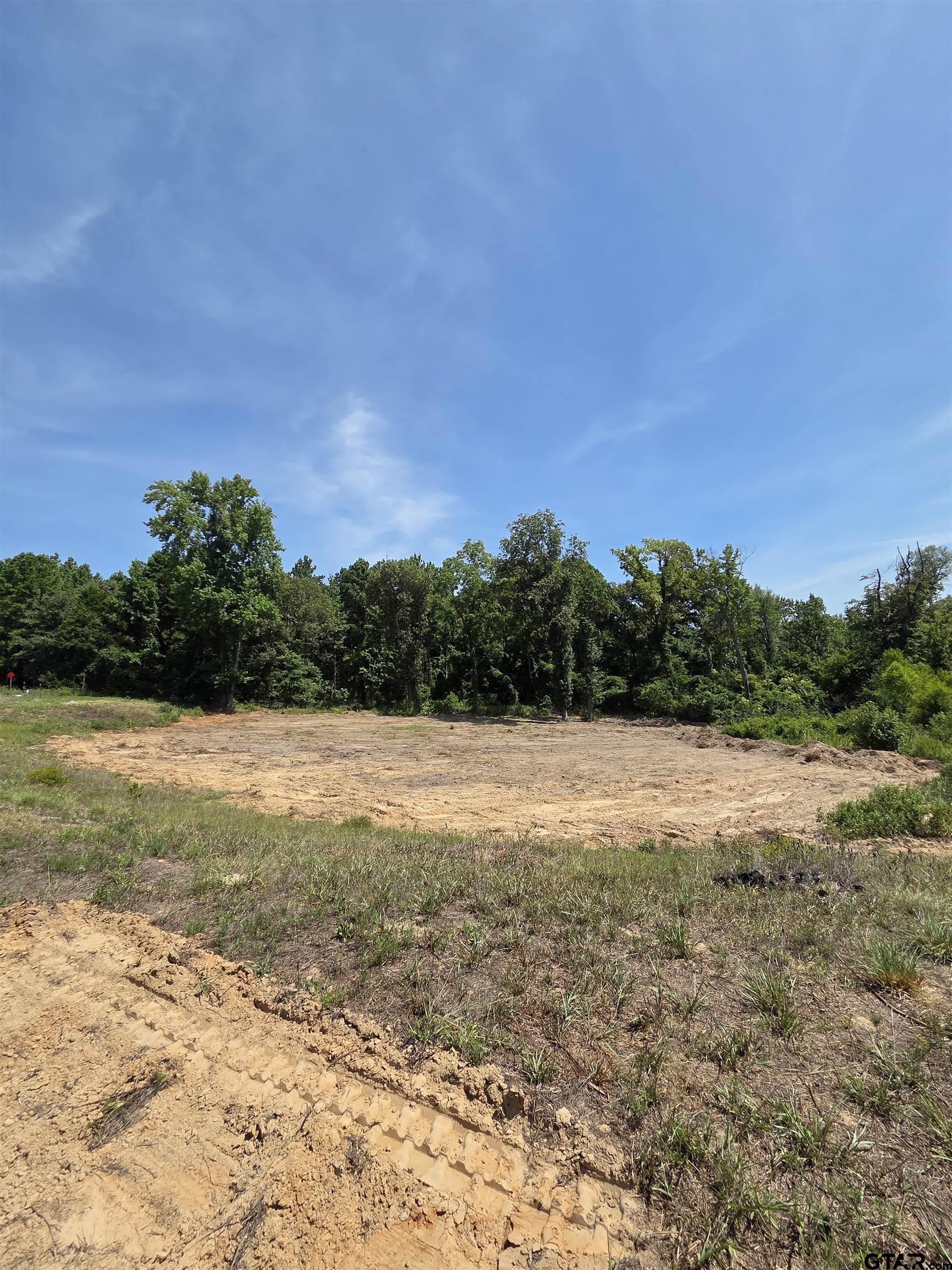 3515 Chapel View Tyler, TX 75707 - Photo 4 of 4