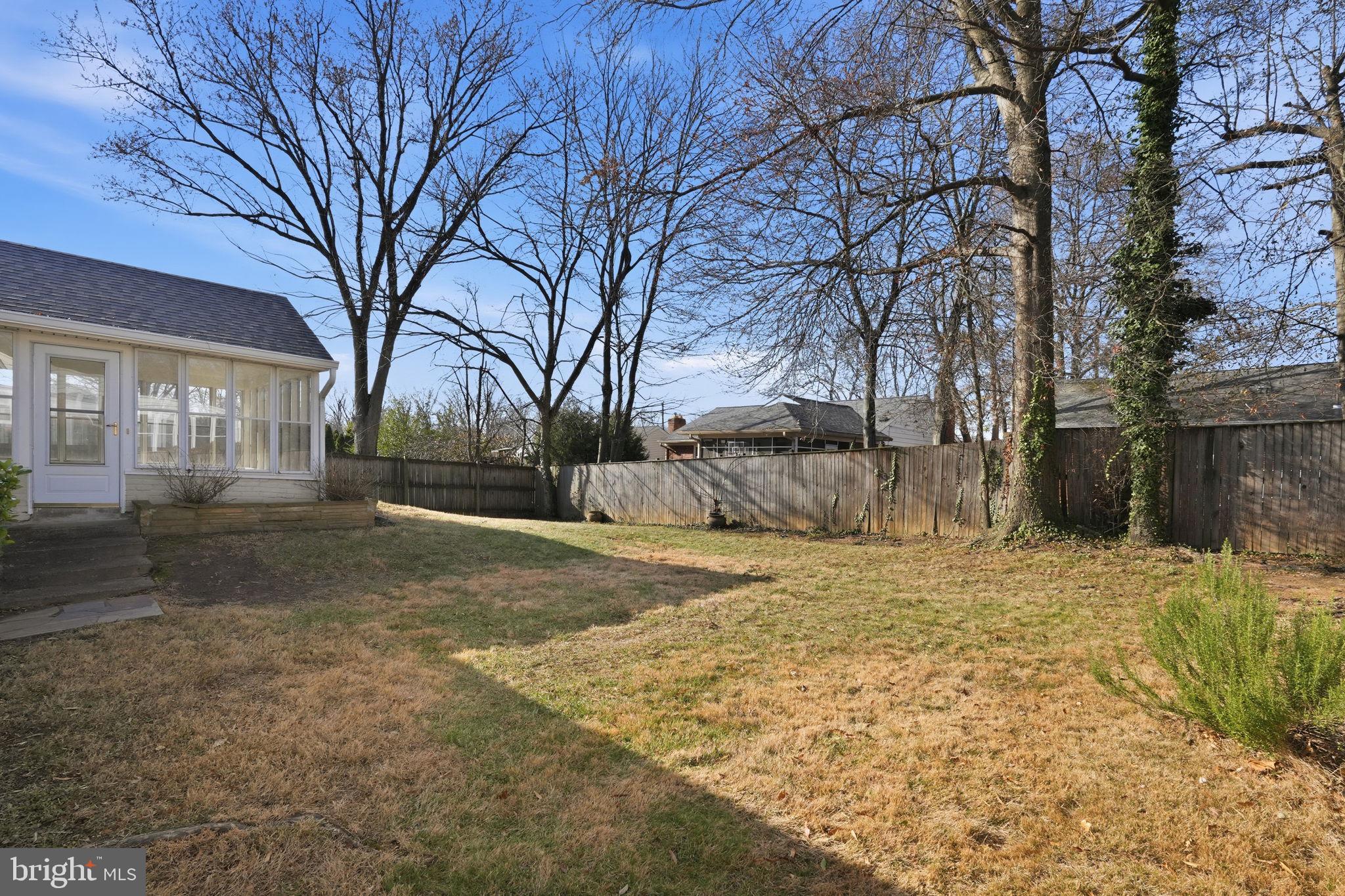 9708 Dameron Drive Silver Spring, MD 20910 - Photo 36 of 38 a view of a yard with a large tree