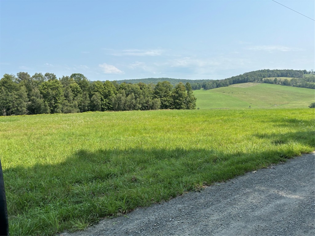 0 Quaker Lake Road Brackney, PA 18812 - Photo 11 of 17 Gallery Image 11