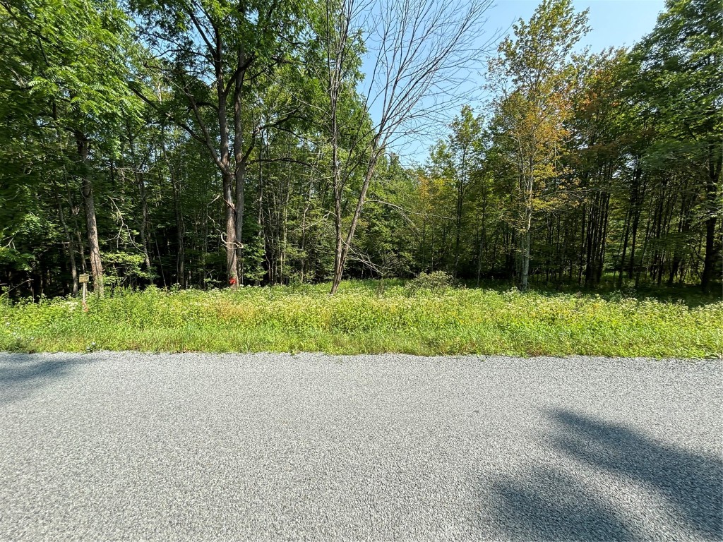0 Quaker Lake Road Brackney, PA 18812 - Photo 16 of 17 Gallery Image 16