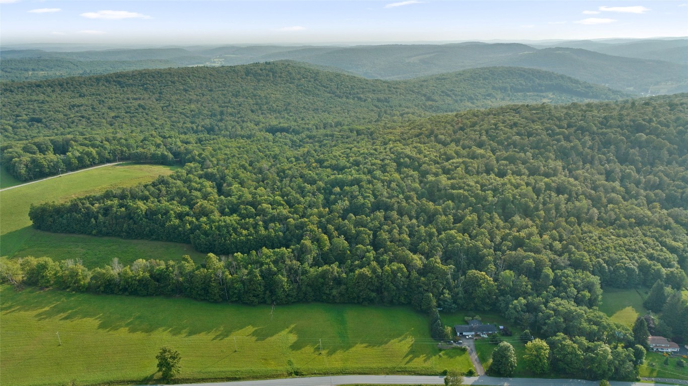 0 Quaker Lake Road Brackney, PA 18812 - Photo 5 of 17 Gallery Image 5