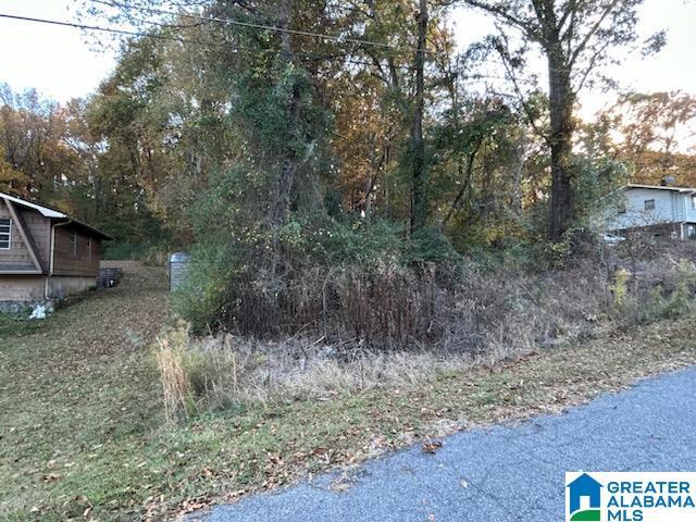 0 Whippoorwill Drive Weaver, AL 36277 - Photo 2 of 2