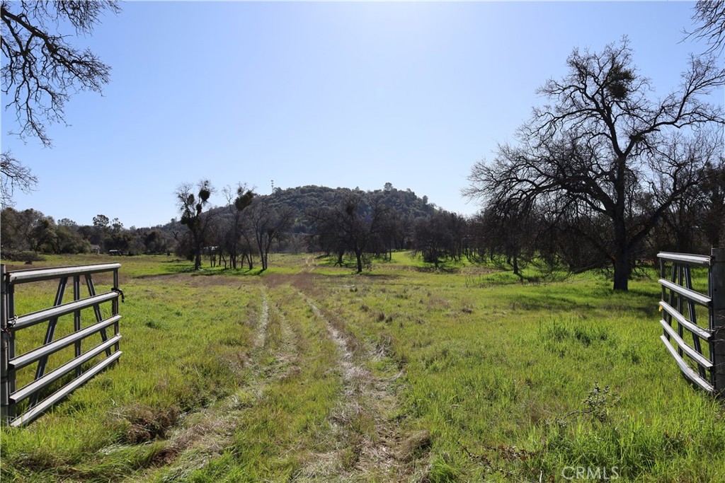 0 Douglas Road Coarsegold, CA 93614 - Photo 16 of 32