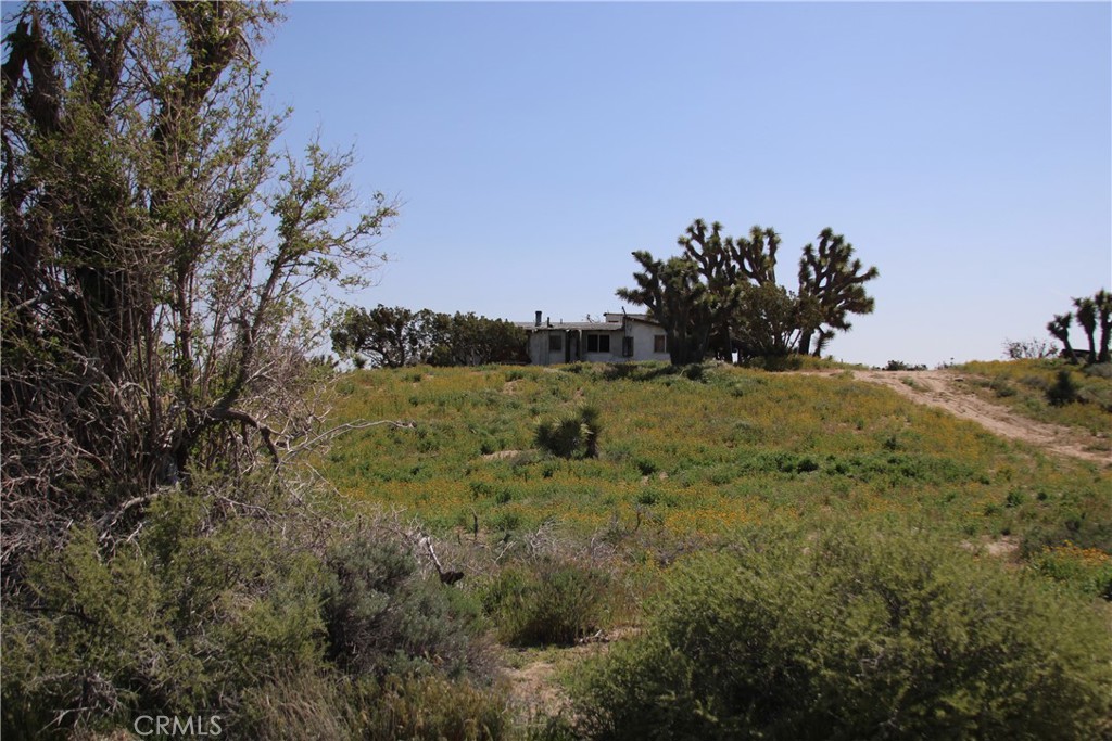 9091 Wilson Ranch Road Phelan, CA 92371 - Photo 1 of 1 a view of a field with an ocean