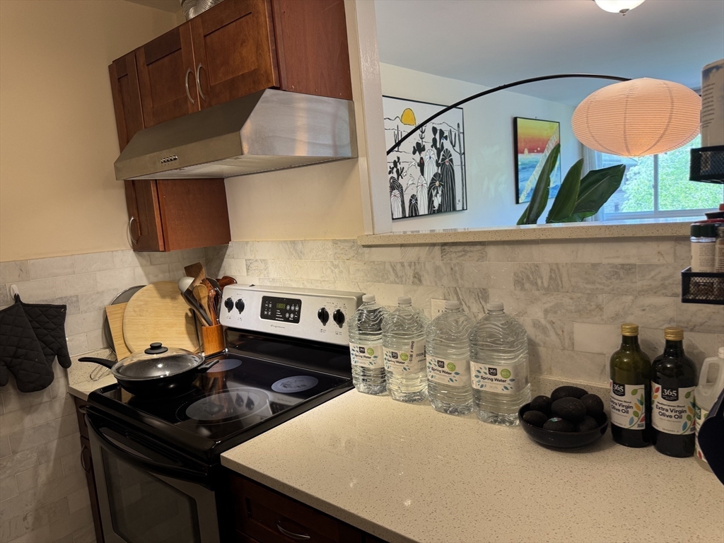 12 Inman Street, Unit 44 Cambridge, MA 02139 - Photo 4 of 12
