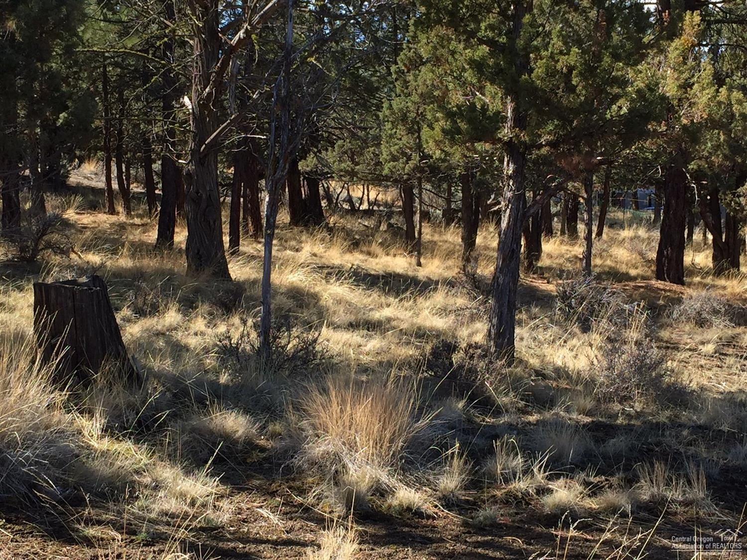 1820 Northwest Wild Rye Circle Bend, OR 97703 - Photo 5 of 6 Additional Photo