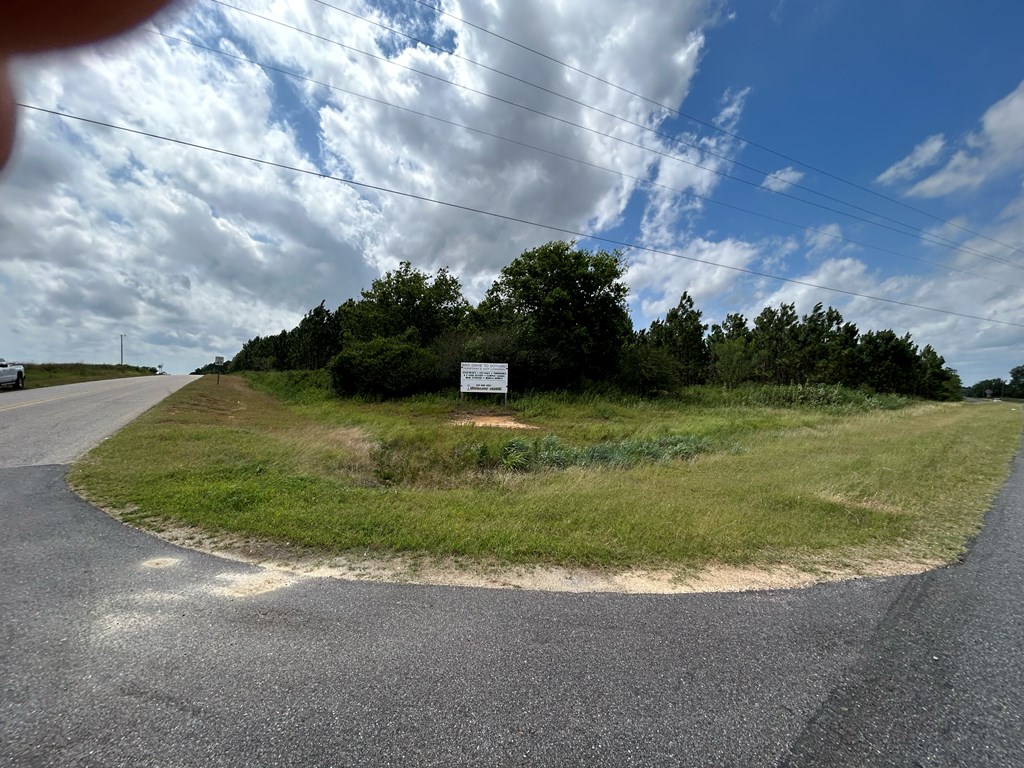75/ Nuclear Plant Road Columbia, AL 36319 - Photo 13 of 34