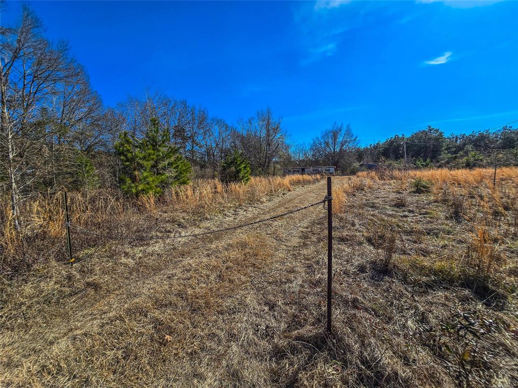 282 Davis Road Ringgold, LA 71068 - Photo 4 of 10 a view of a yard with a tree