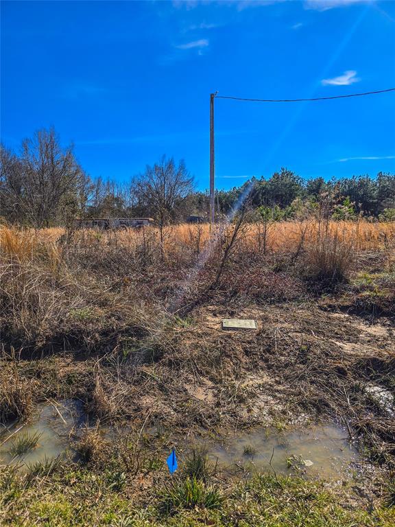 282 Davis Road Ringgold, LA 71068 - Photo 6 of 10 a view of a field with an ocean
