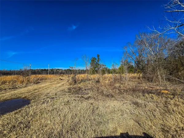 a view of a house with a big yard