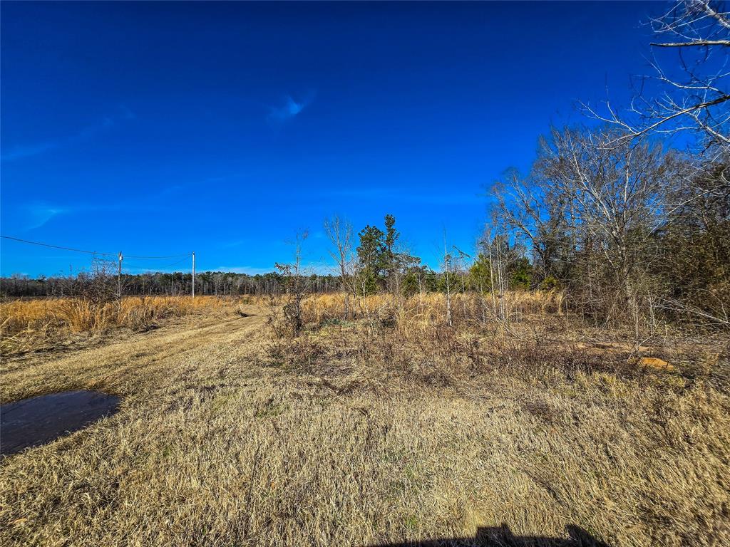 282 Davis Road Ringgold, LA 71068 - Photo 7 of 10 a view of a building with an ocean