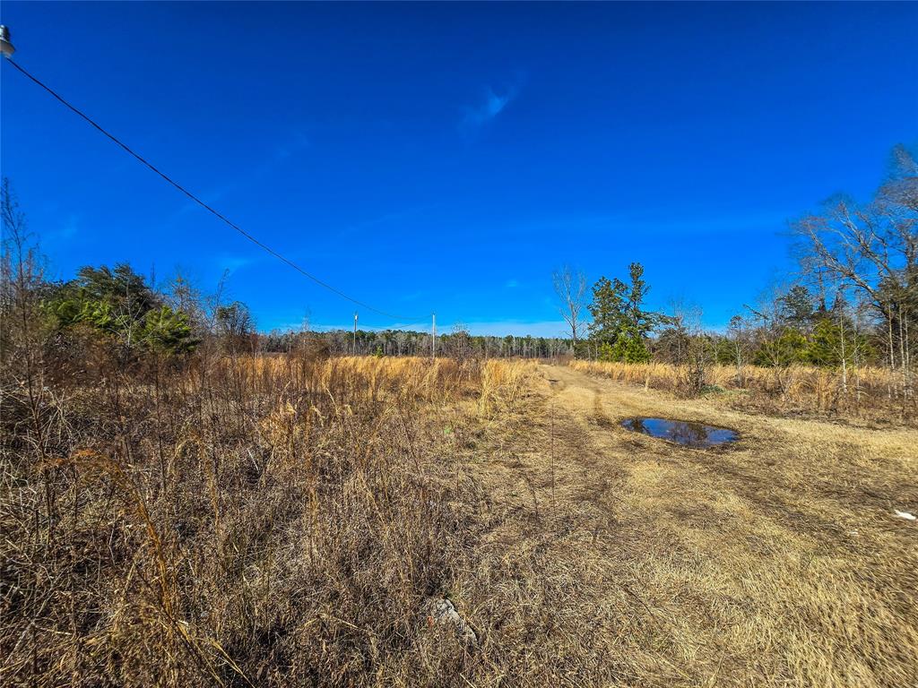 282 Davis Road Ringgold, LA 71068 - Photo 10 of 10 a view of a field with a house in background