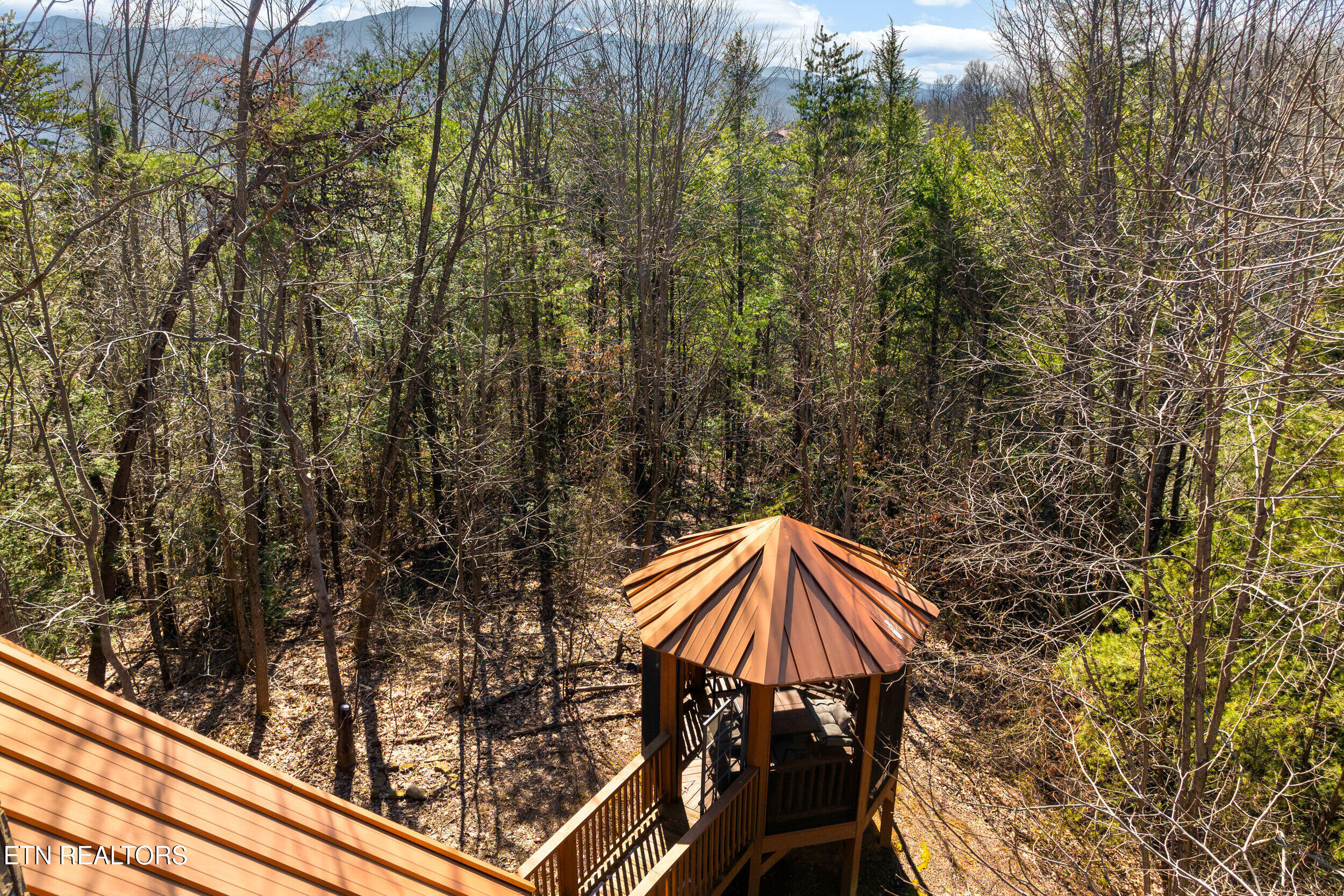 438 Coyote Road Gatlinburg, TN 37738 - Photo 39 of 47 438 coyote road-39