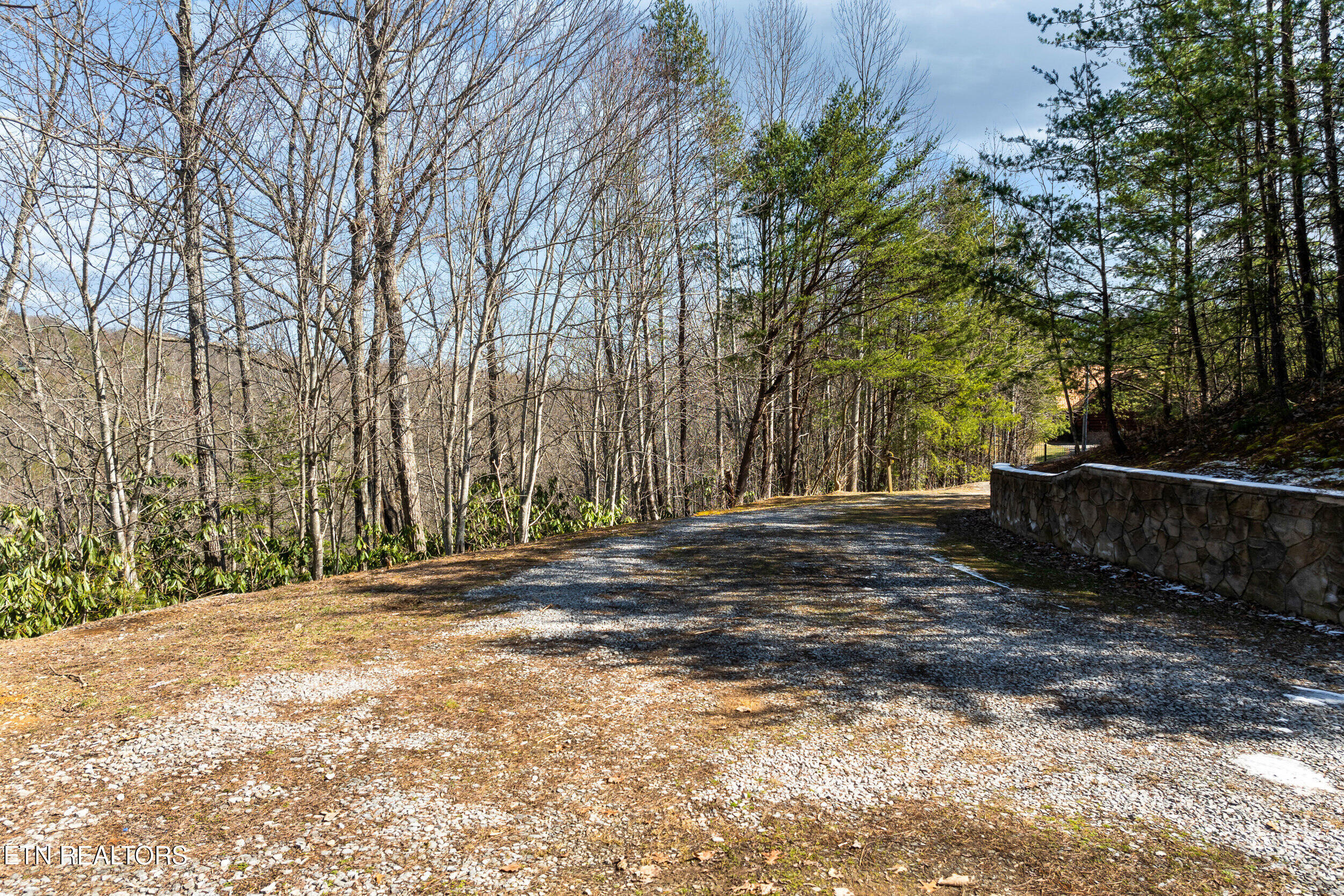 438 Coyote Road Gatlinburg, TN 37738 - Photo 43 of 47 438 coyote road-43