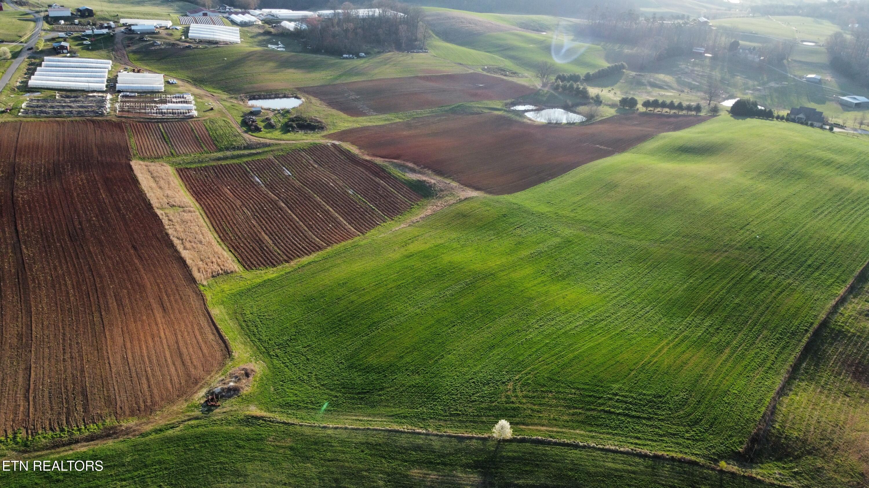 dji_fly_20250317_083240_731_174221523720