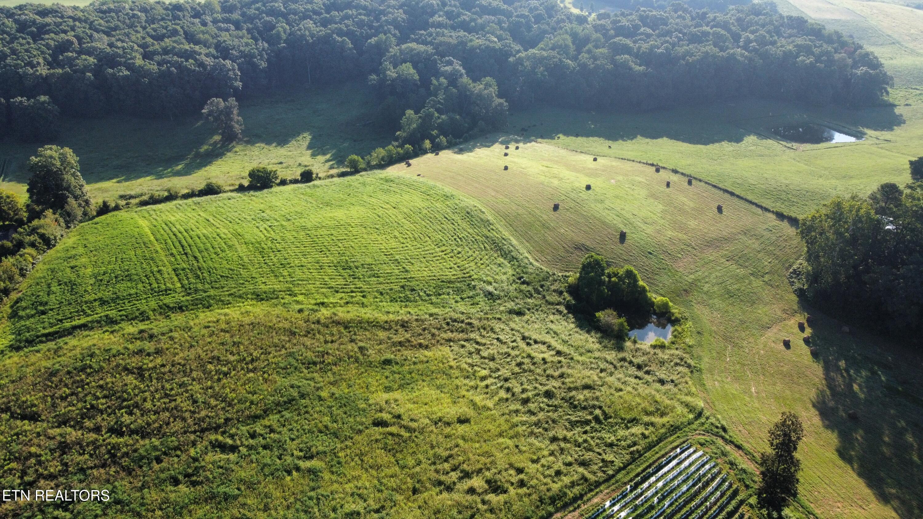 70-acres - Perrin Hill Road Rutledge, TN 37861 - Photo 11 of 20 dji_fly_20250819_084258_6_1755608066478_