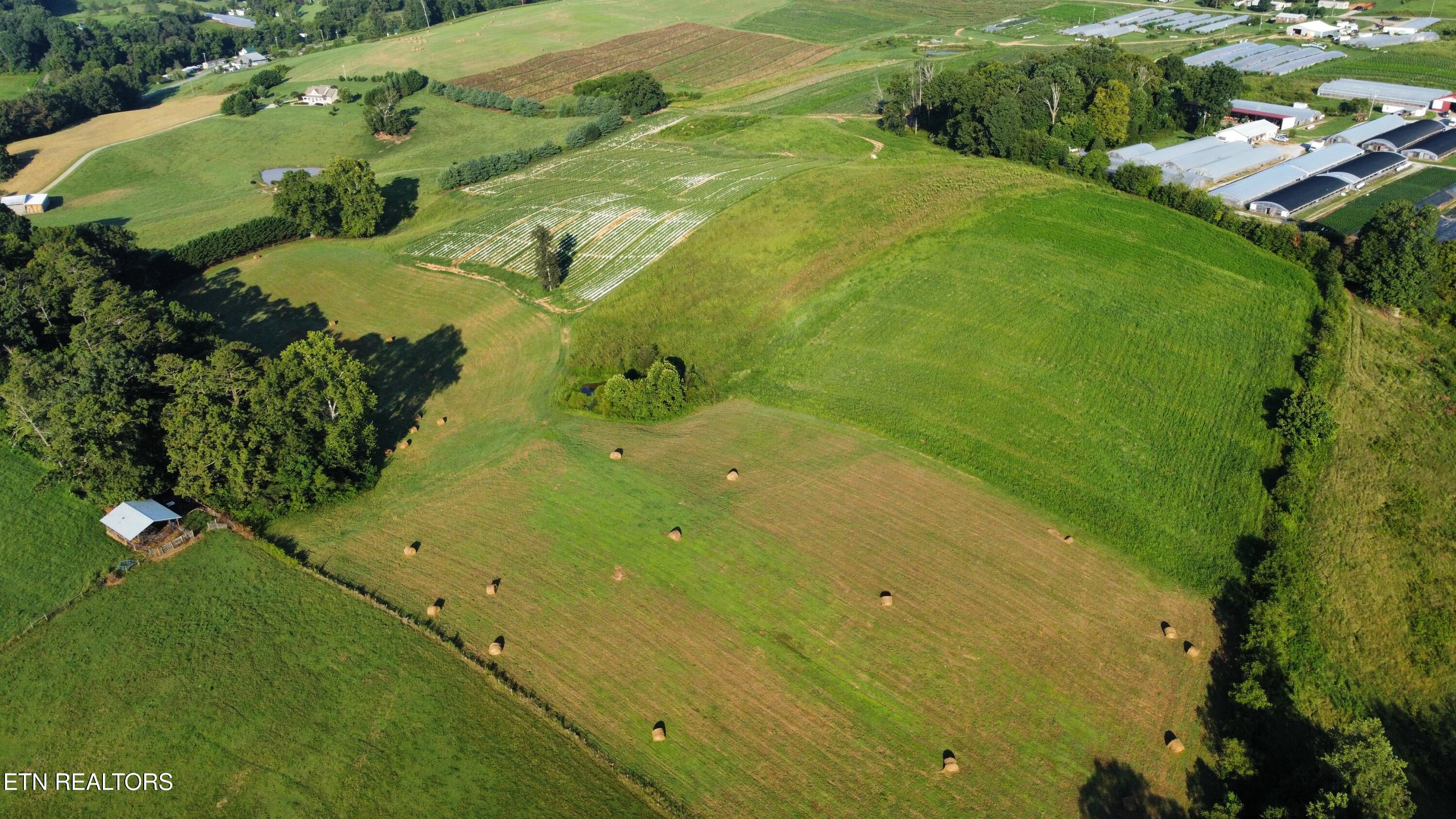 70-acres - Perrin Hill Road Rutledge, TN 37861 - Photo 12 of 20 dji_fly_20250819_084420_9_1755608056329_