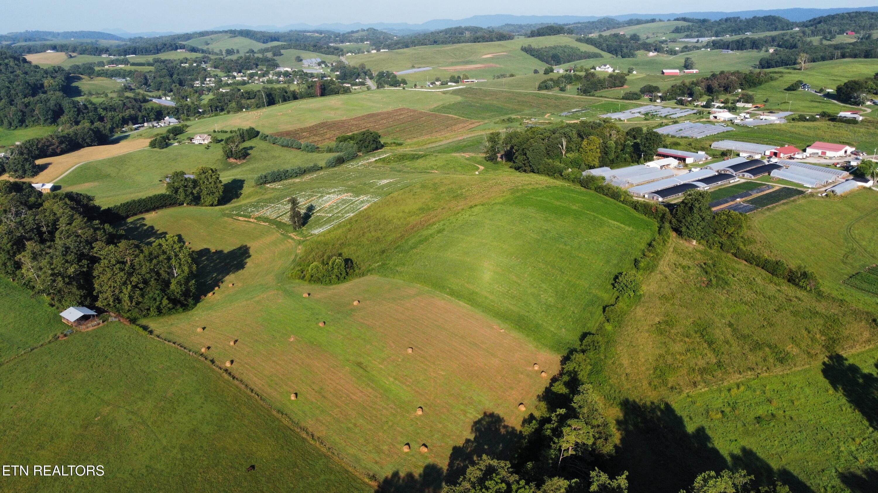 70-acres - Perrin Hill Road Rutledge, TN 37861 - Photo 13 of 20 dji_fly_20250819_084408_8_1755608060219_