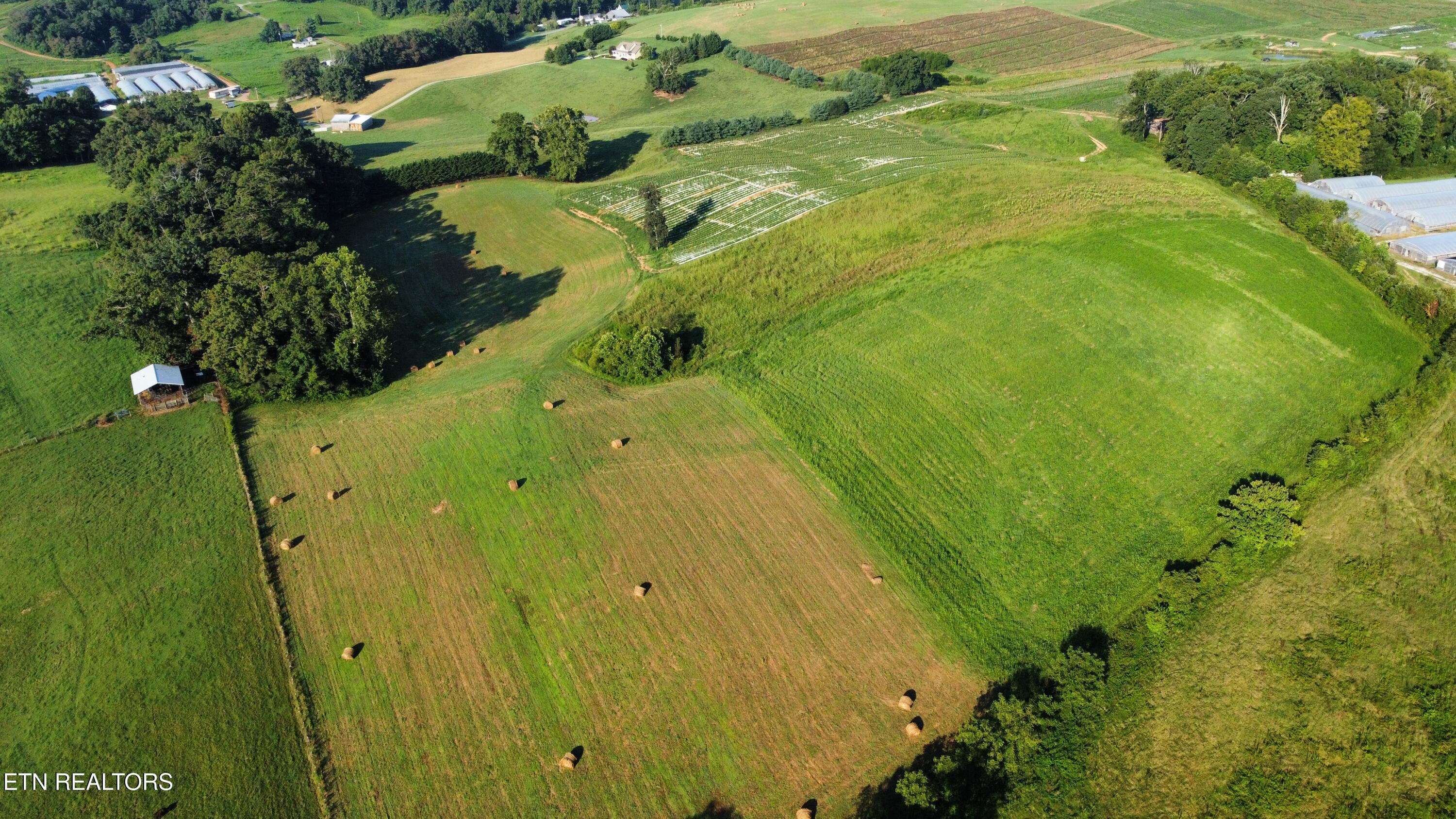 70-acres - Perrin Hill Road Rutledge, TN 37861 - Photo 14 of 20 dji_fly_20250819_084352_7_1755608063200_