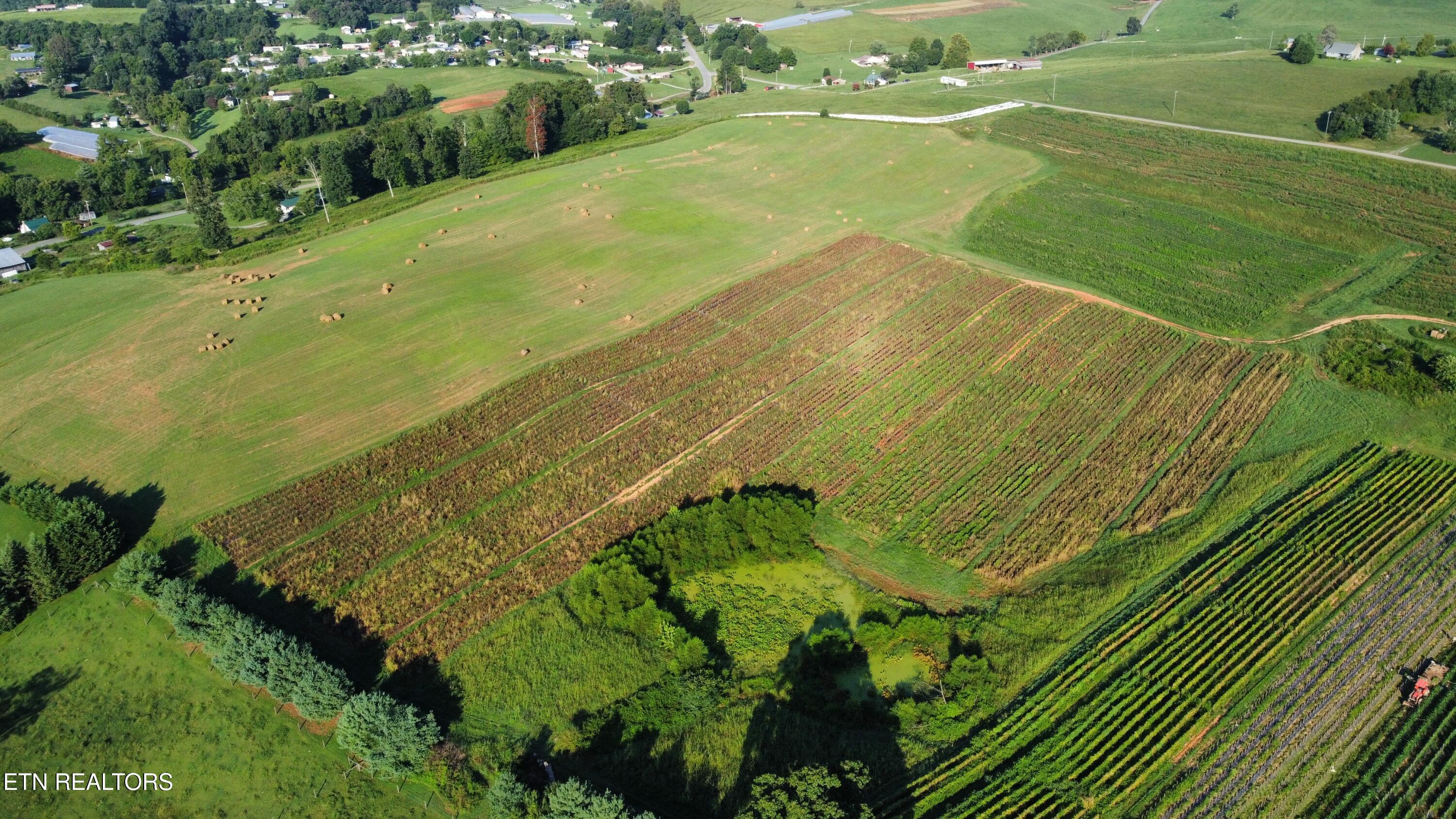 70-acres - Perrin Hill Road Rutledge, TN 37861 - Photo 15 of 20 dji_fly_20250819_084510_10_1755608053089