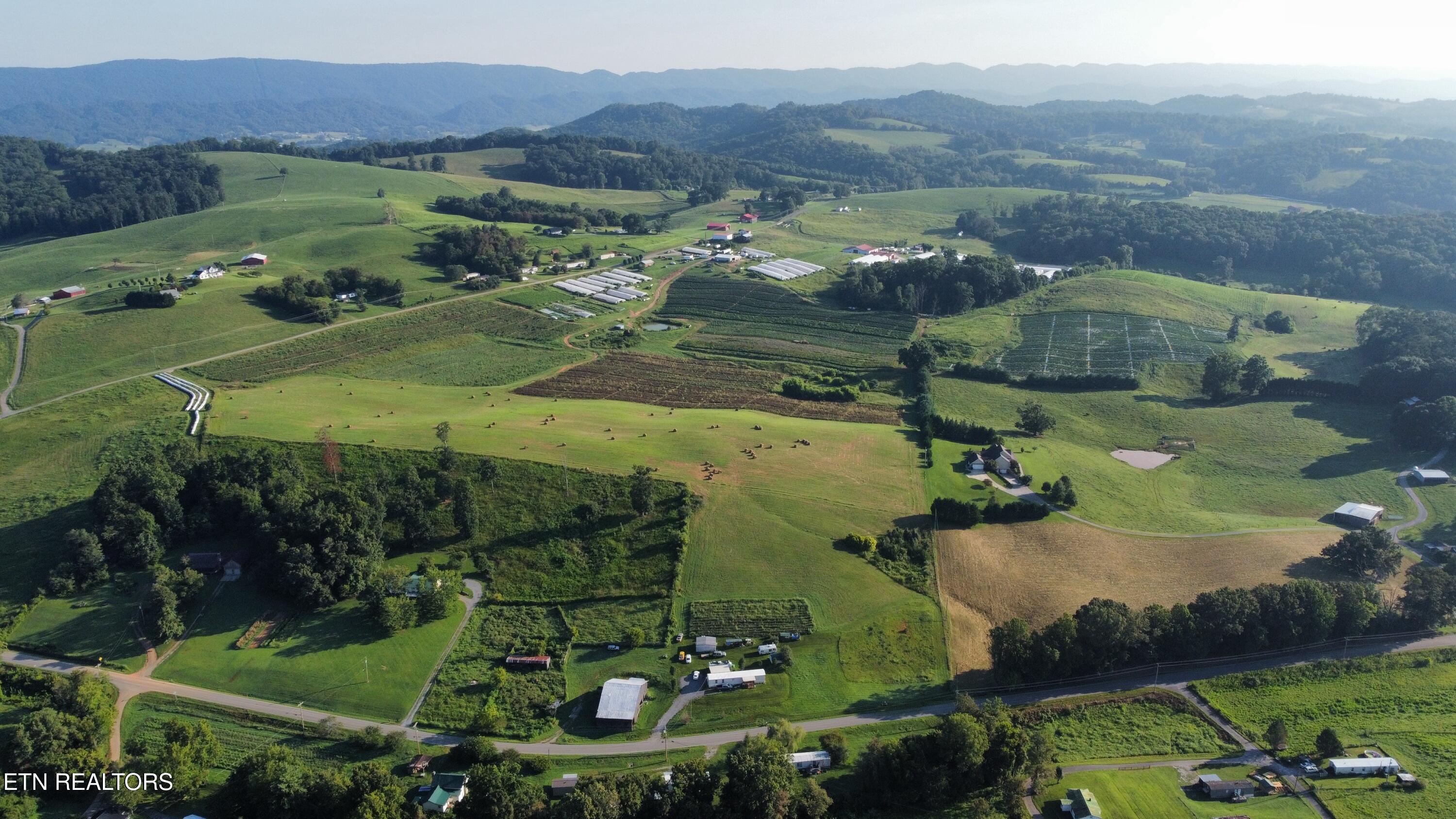 70-acres - Perrin Hill Road Rutledge, TN 37861 - Photo 17 of 20 dji_fly_20250819_084656_12_1755608045531
