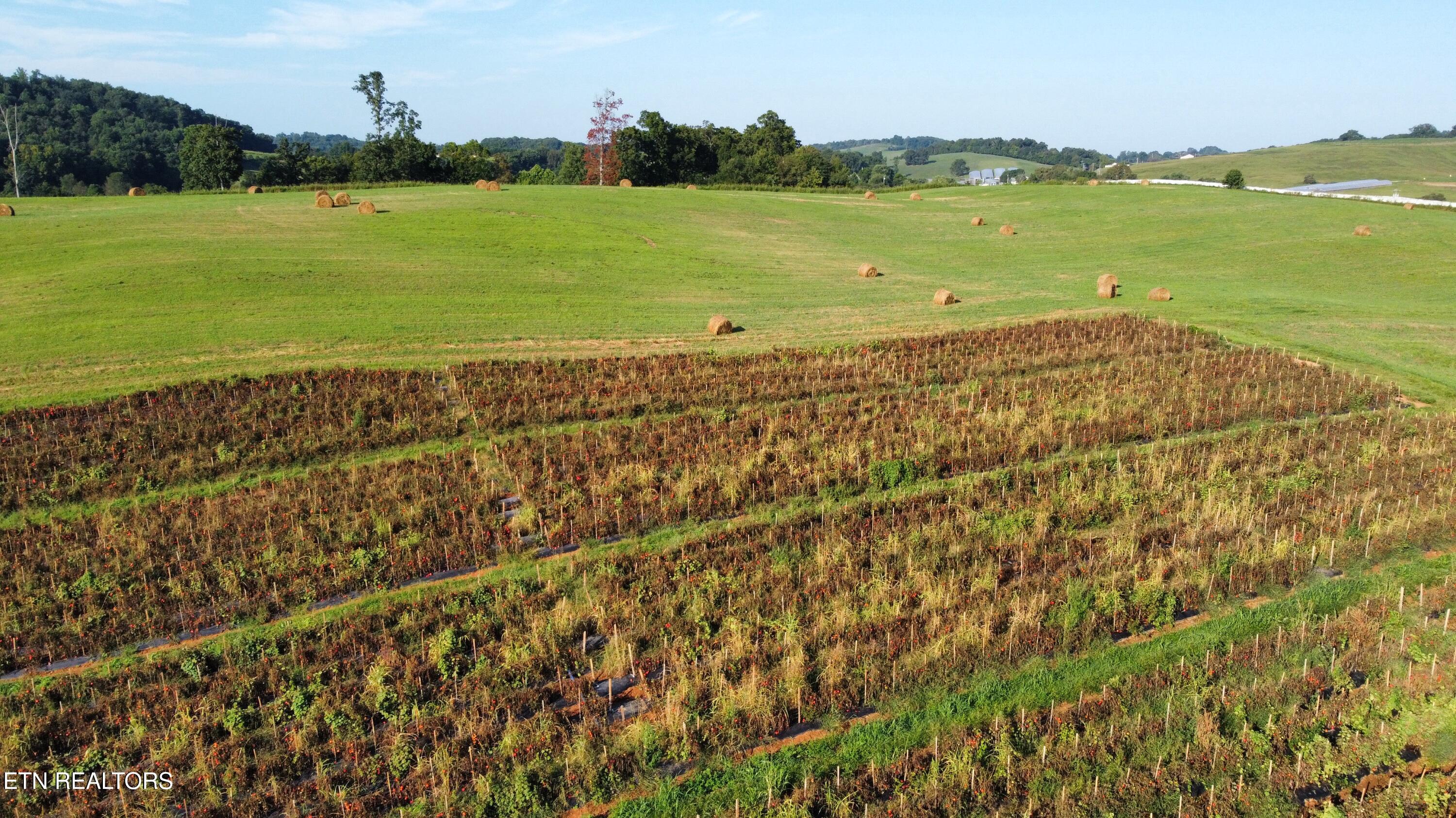 70-acres - Perrin Hill Road Rutledge, TN 37861 - Photo 18 of 20 dji_fly_20250819_085124_18_1755608005095
