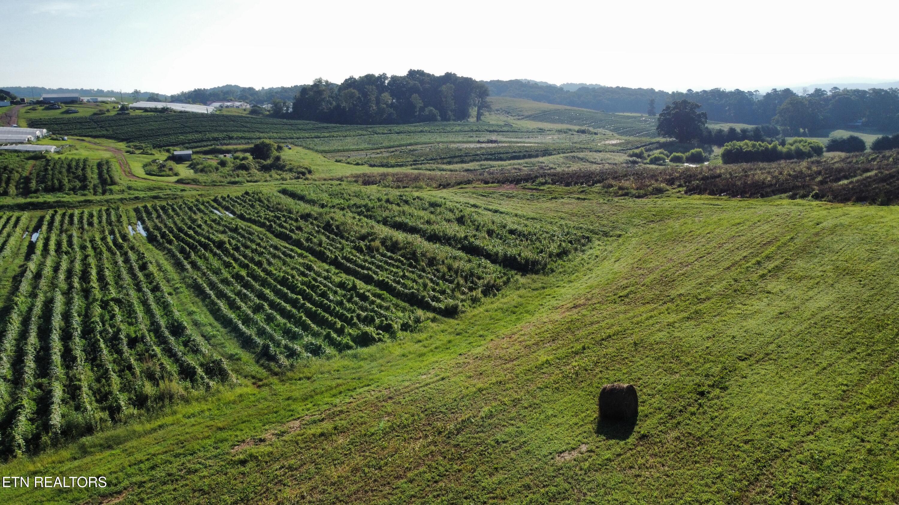 70-acres - Perrin Hill Road Rutledge, TN 37861 - Photo 19 of 20 dji_fly_20250819_085102_17_1755608009953