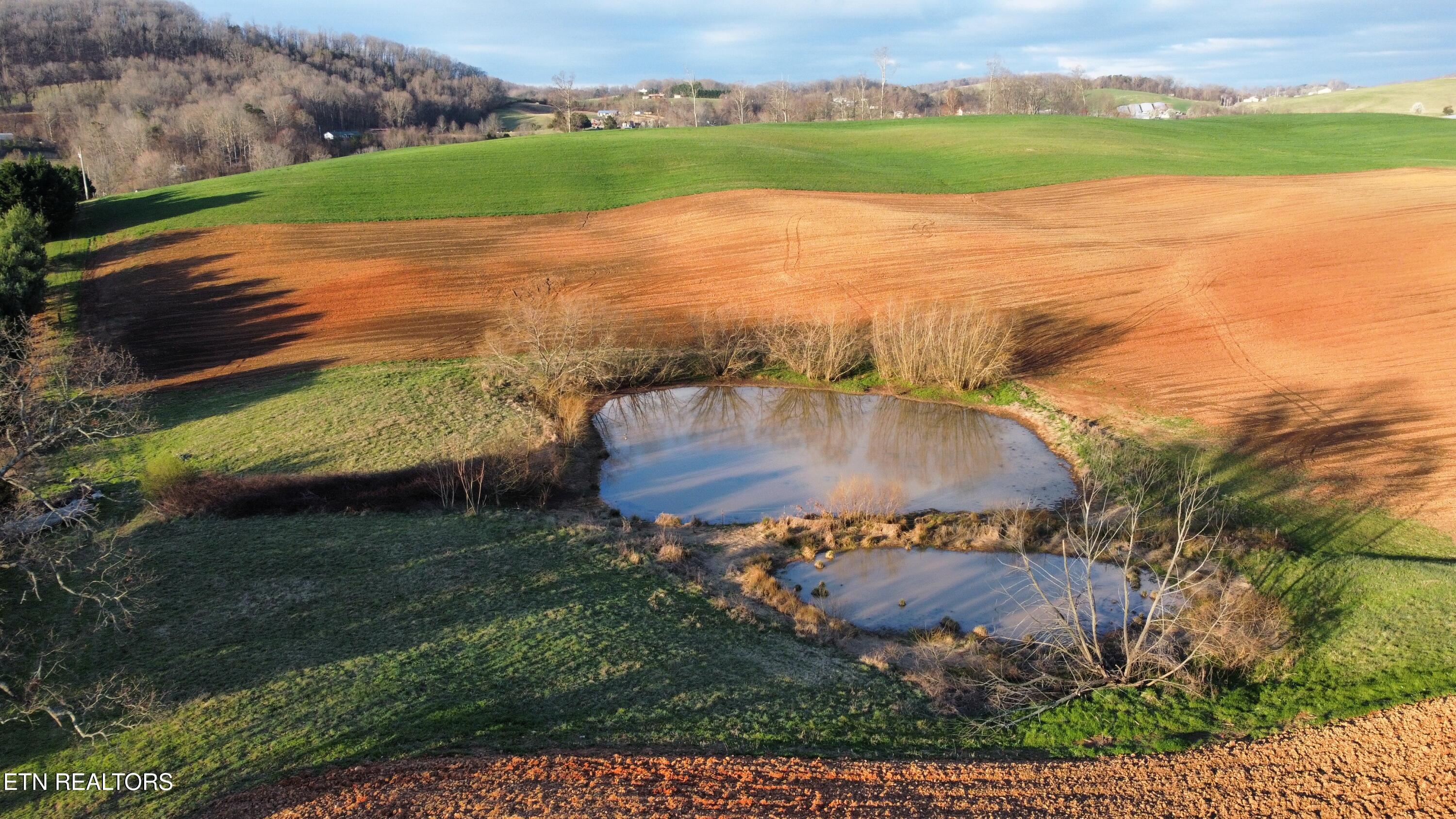 70-acres - Perrin Hill Road Rutledge, TN 37861 - Photo 2 of 20 dji_fly_20250317_084214_749_174221621812