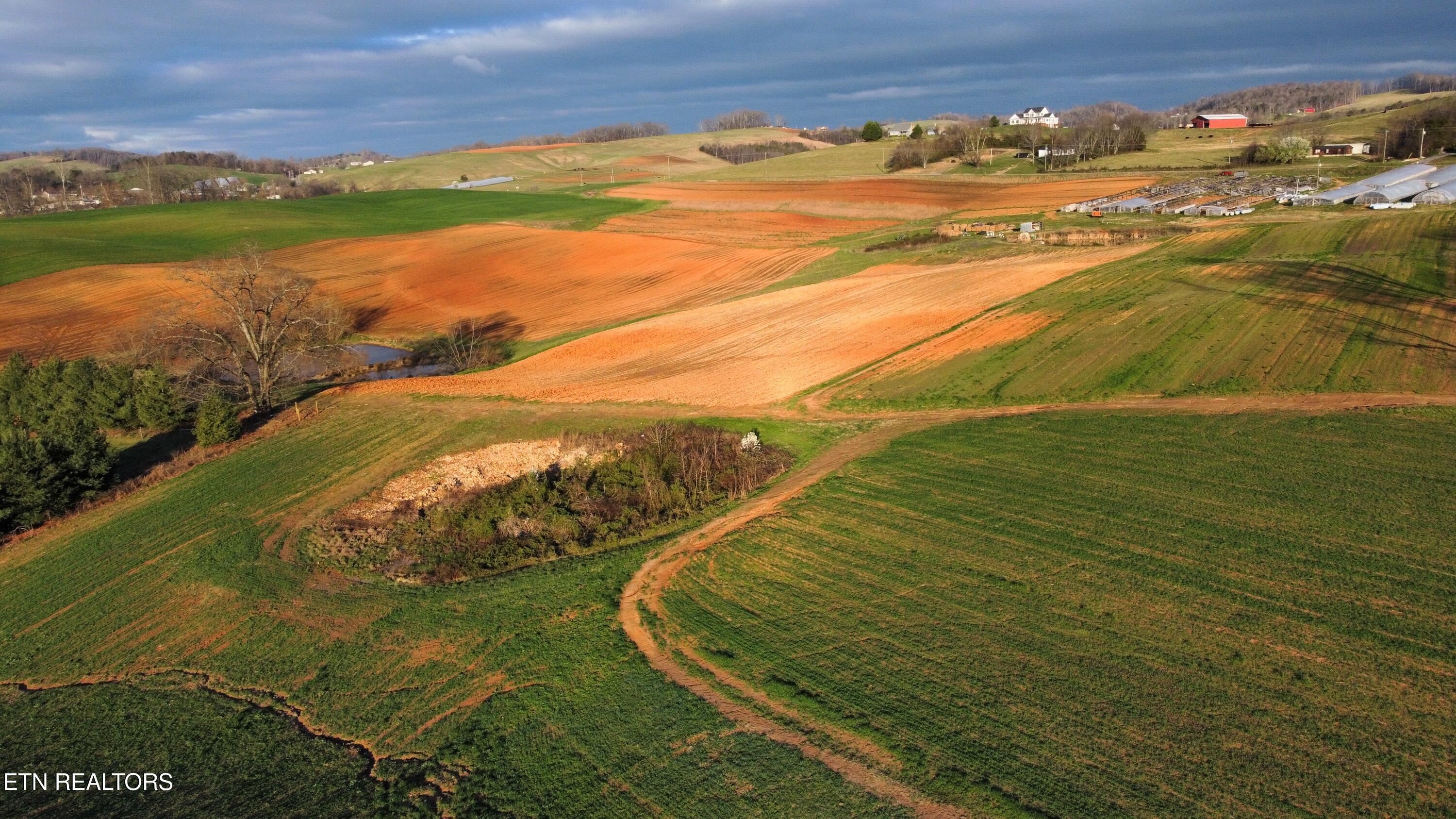 70-acres - Perrin Hill Road Rutledge, TN 37861 - Photo 3 of 20 dji_fly_20250317_084158_748_174221621338