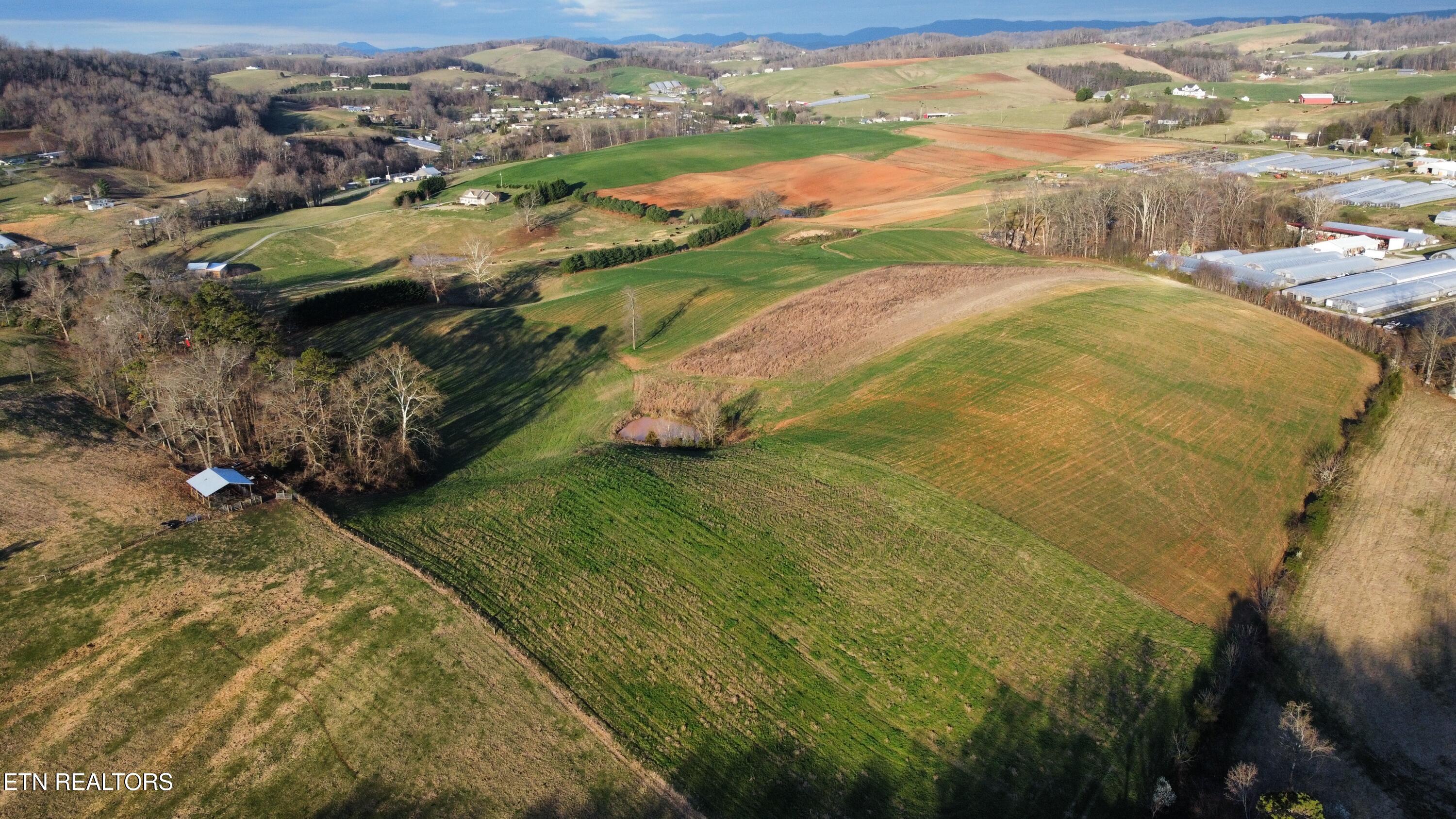 70-acres - Perrin Hill Road Rutledge, TN 37861 - Photo 4 of 20 dji_fly_20250317_084018_743_174221619046