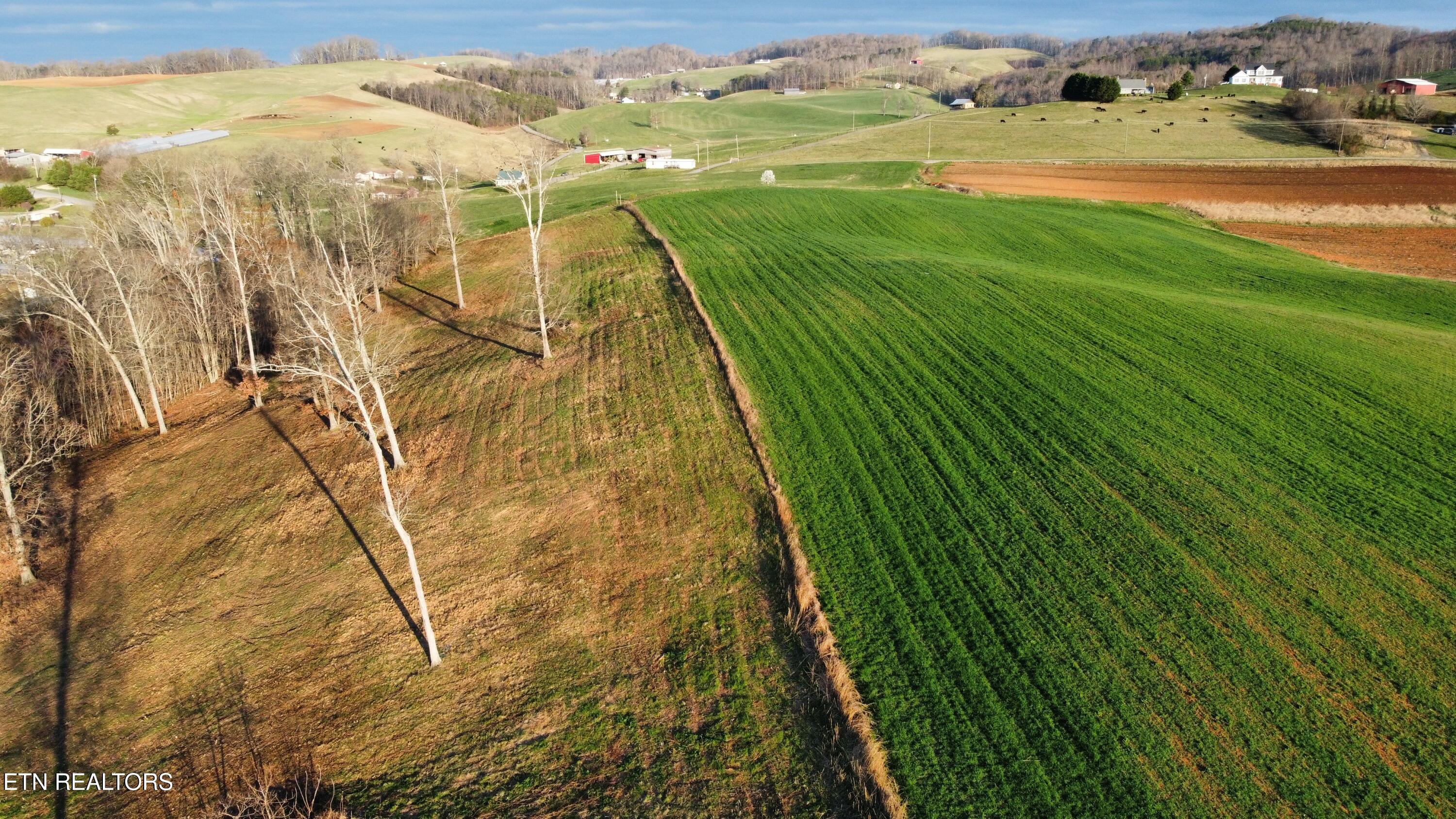 70-acres - Perrin Hill Road Rutledge, TN 37861 - Photo 5 of 20 dji_fly_20250317_083452_734_174221616543