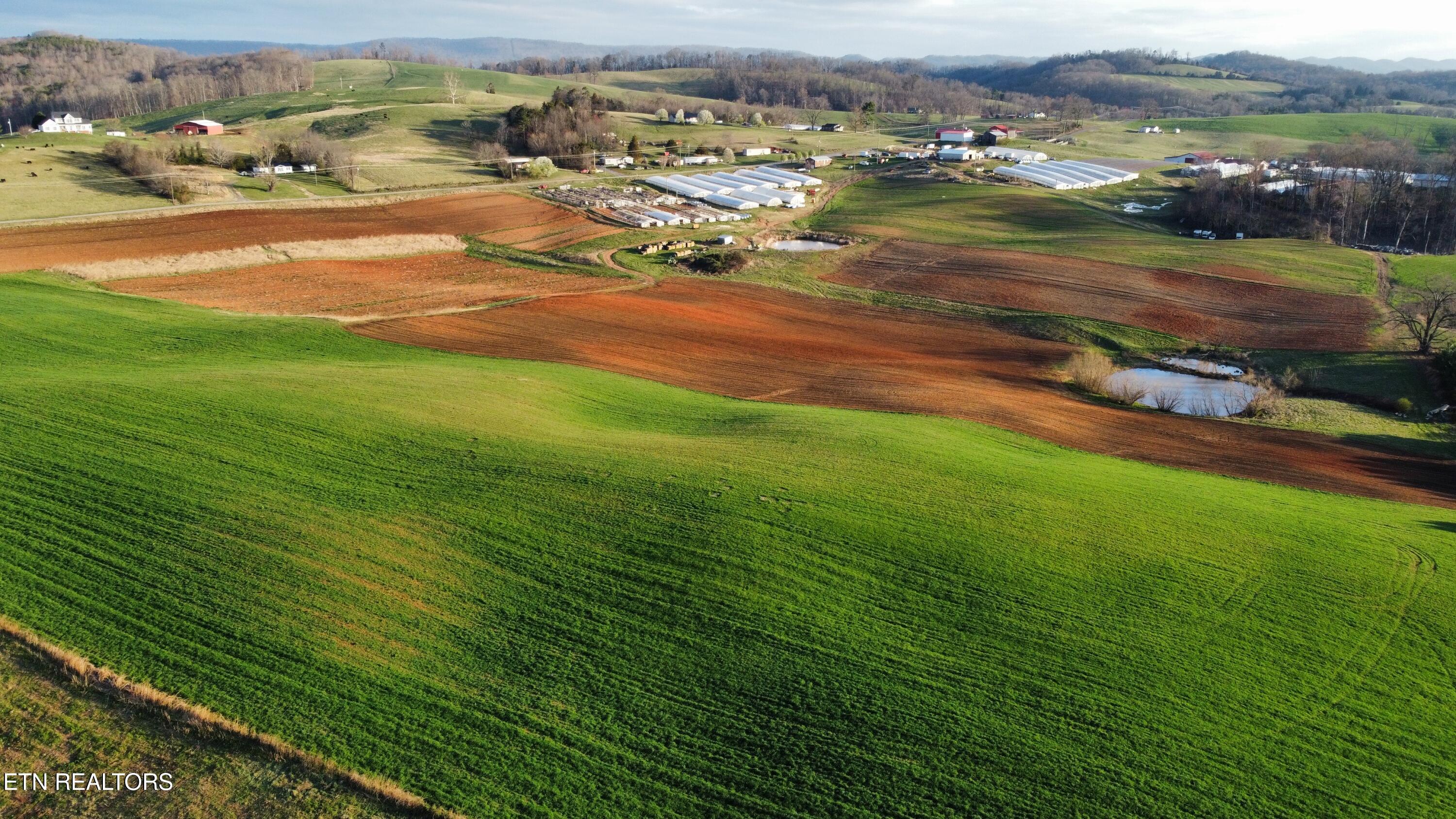 70-acres - Perrin Hill Road Rutledge, TN 37861 - Photo 6 of 20 dji_fly_20250317_083442_733_174221616127