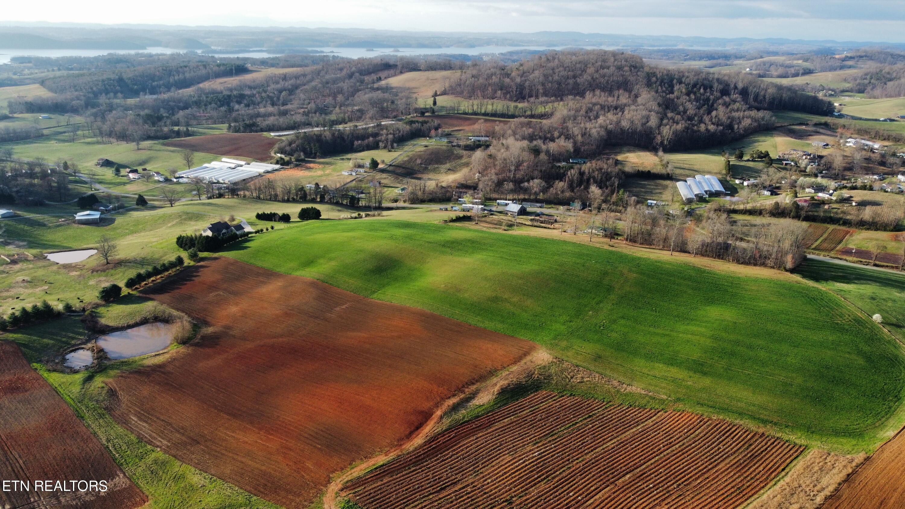 70-acres - Perrin Hill Road Rutledge, TN 37861 - Photo 8 of 20 dji_fly_20250317_085048_753_174221623765
