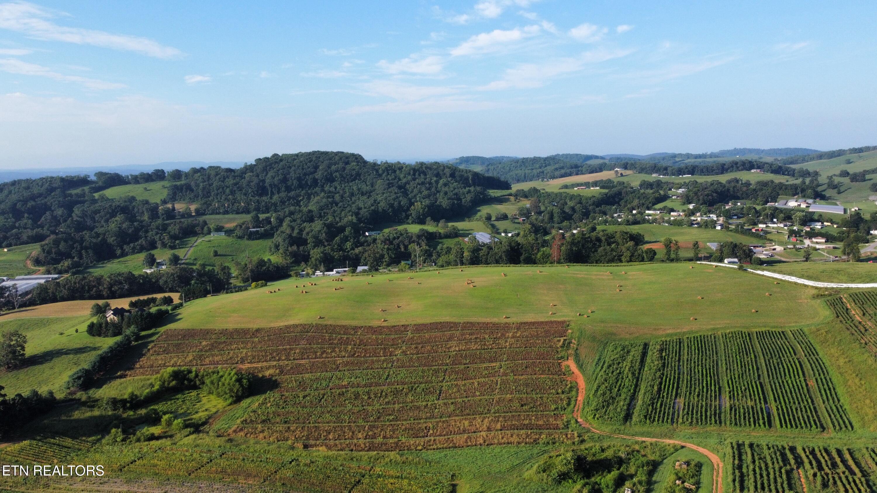 70-acres - Perrin Hill Road Rutledge, TN 37861 - Photo 9 of 20 dji_fly_20250819_084130_4_1755608073072_