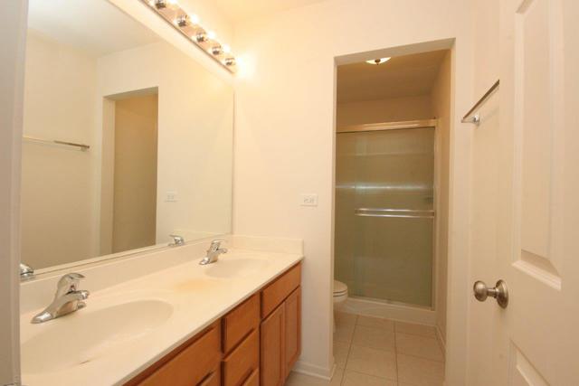 216 Longview Drive Elgin, IL 60124 - Photo 11 of 20 a bathroom with a shower sink and mirror