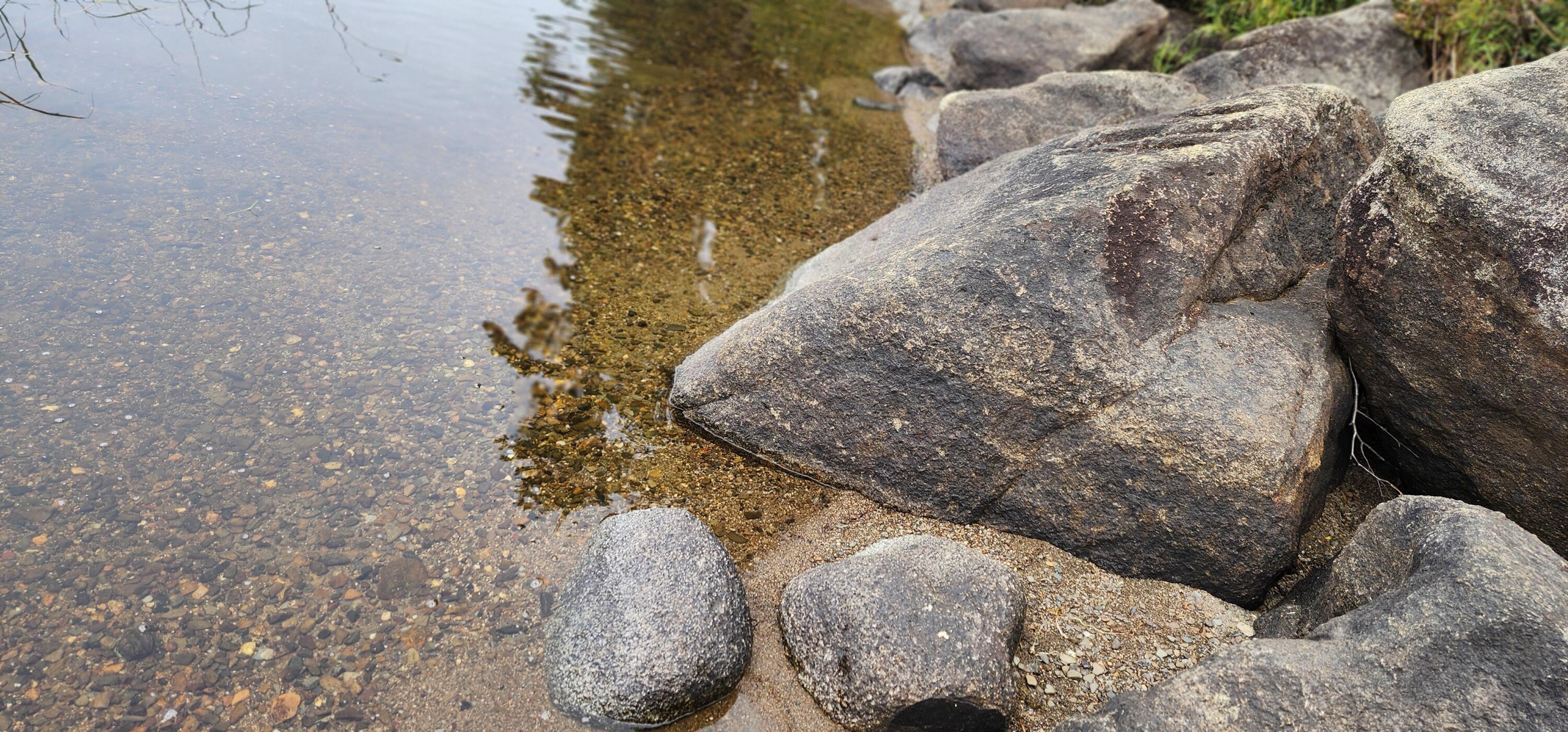 Off Dunphy Lane Island Falls, ME 04747 - Photo 13 of 16 20240815_095502