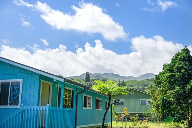 a view of a lush green hillside and houses