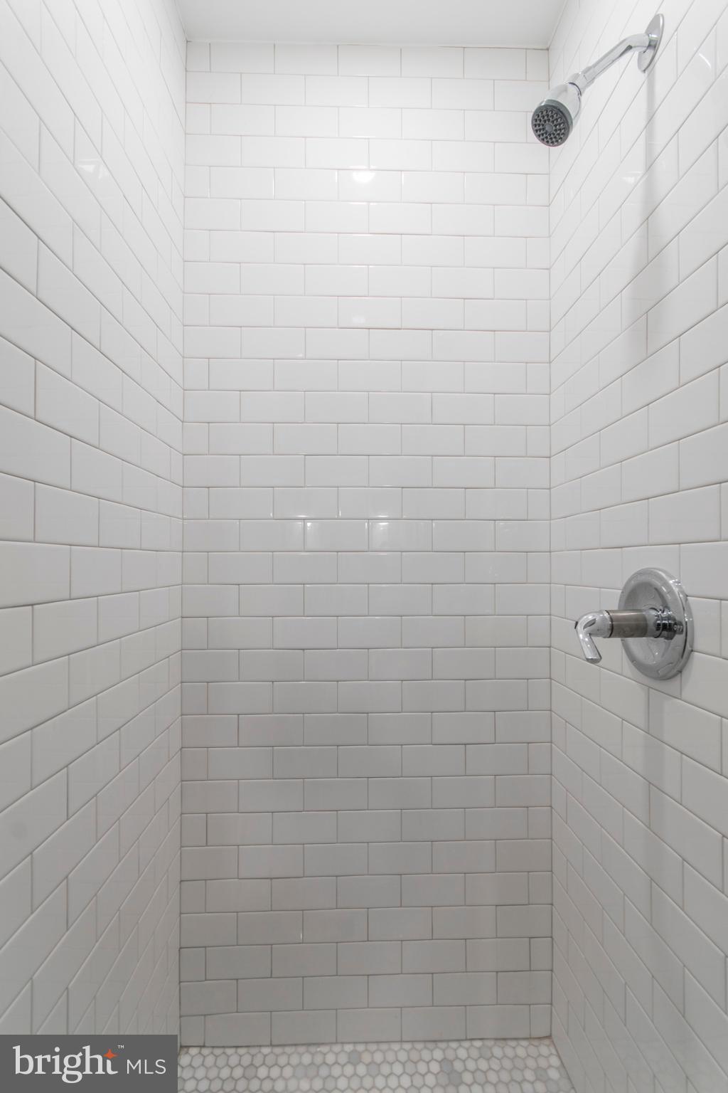 8105 Rugby Street Philadelphia, PA 19150 - Photo 16 of 25 Main Bathroom