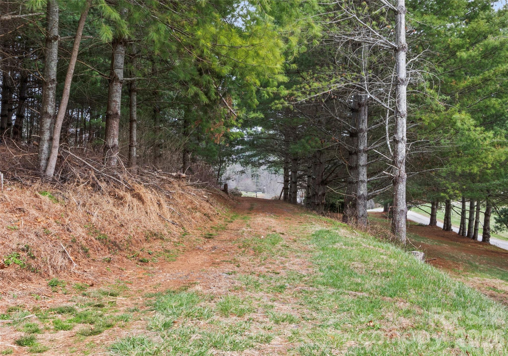 138 Robert Phillips Road Bakersville, NC 28705 - Photo 34 of 37