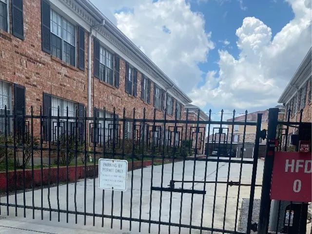 a view of a garden with plants